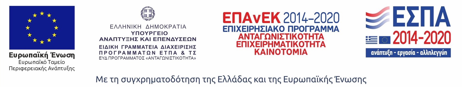 epanek logo